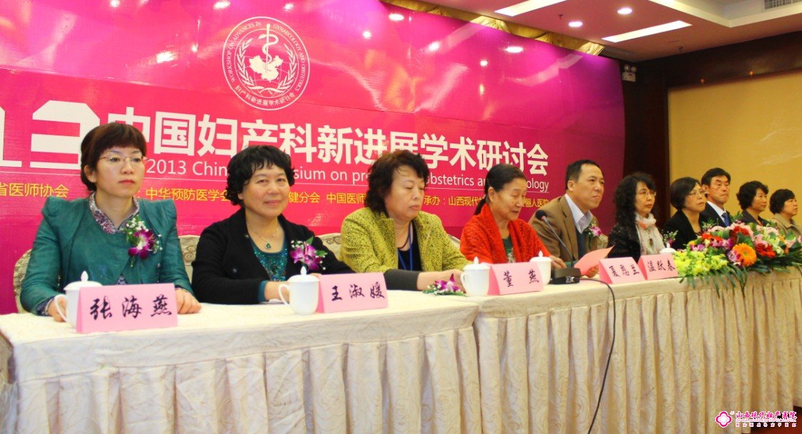 2013中國婦產(chǎn)科新進(jìn)展學(xué)會(huì)研討會(huì)成功舉行