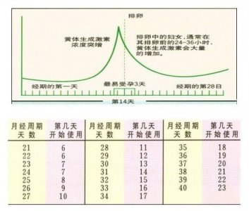 七大助孕技術(shù)之四聯(lián)排卵監(jiān)測法